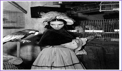 Unveiling The Inspiring Journey Of Joyce Vanderveen: Discoveries And Insights